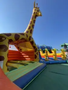 Parc Gonflable chez Dama