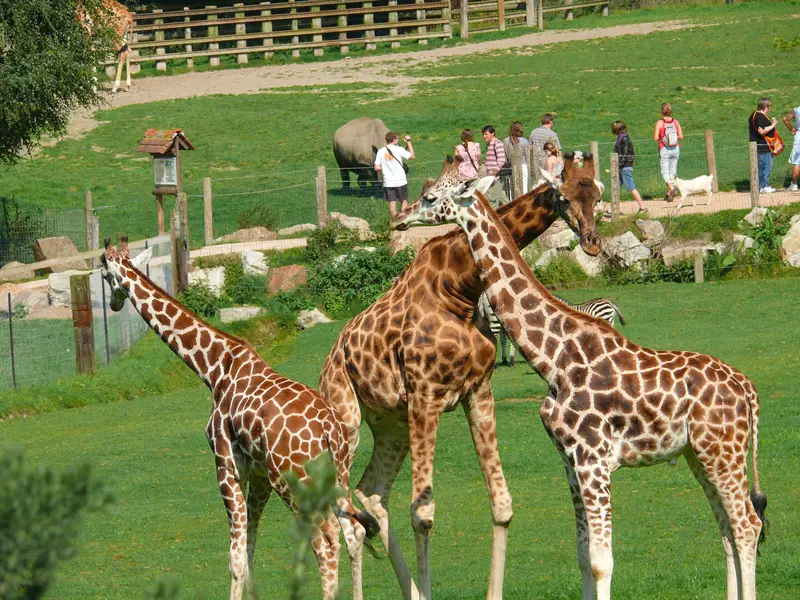 Parc Zoologique de Cerza près de Deauville